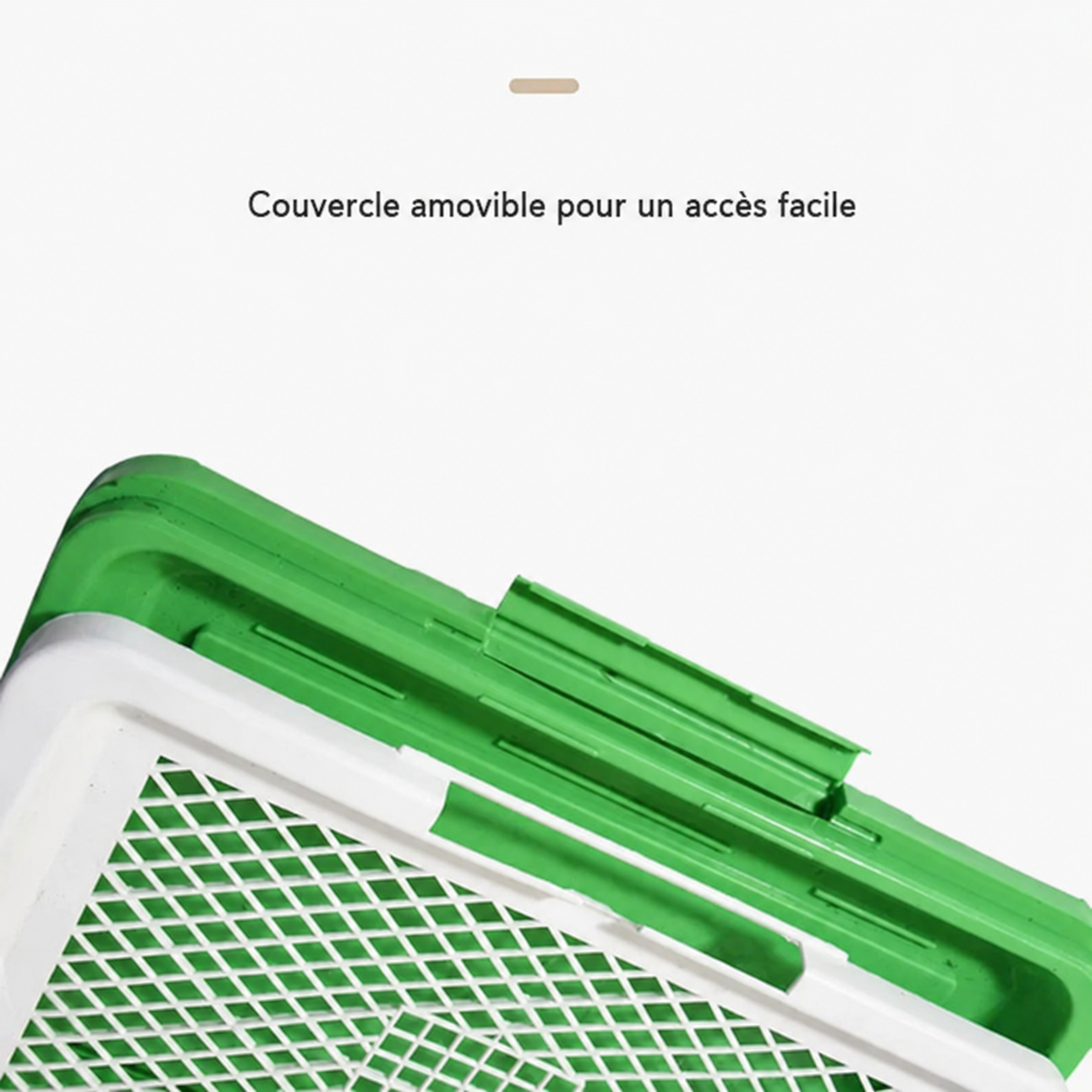 Toilettes pour Chiens - Éducation facile et pratique!